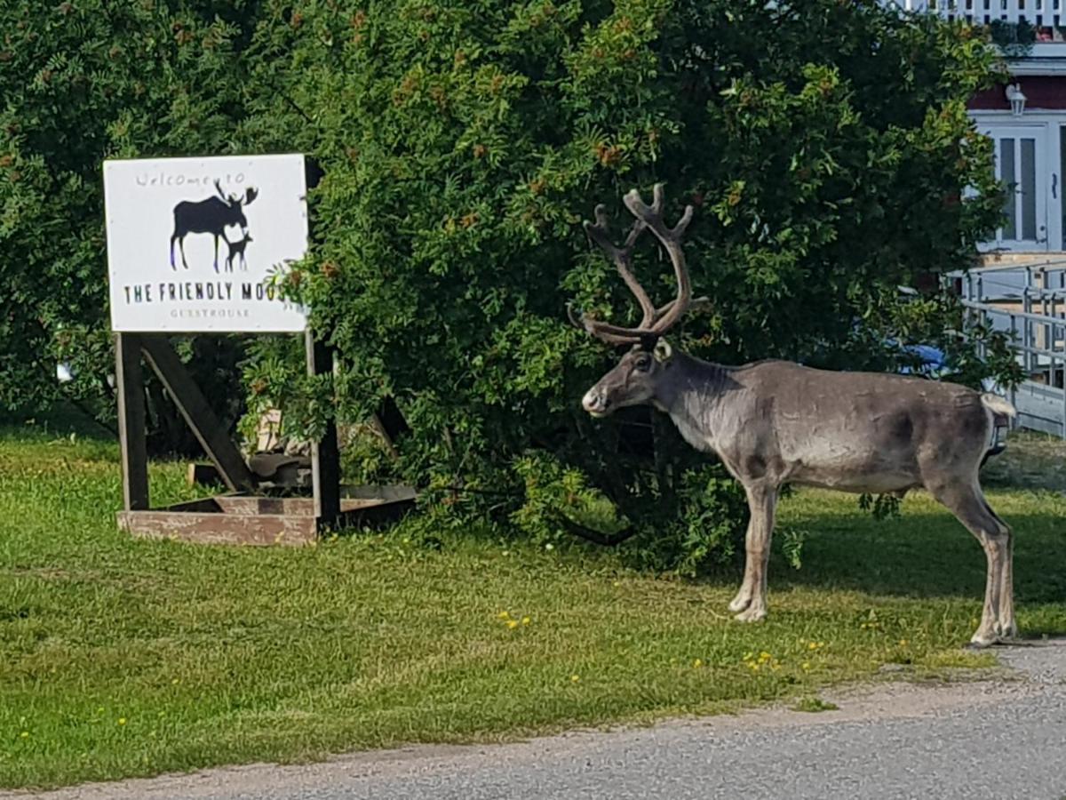 Hotel The Friendly Moose à Overtornea Extérieur photo
