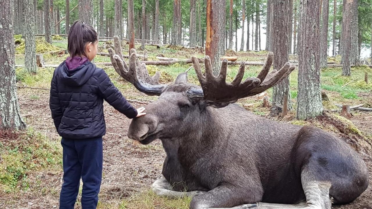 Hotel The Friendly Moose à Overtornea Extérieur photo
